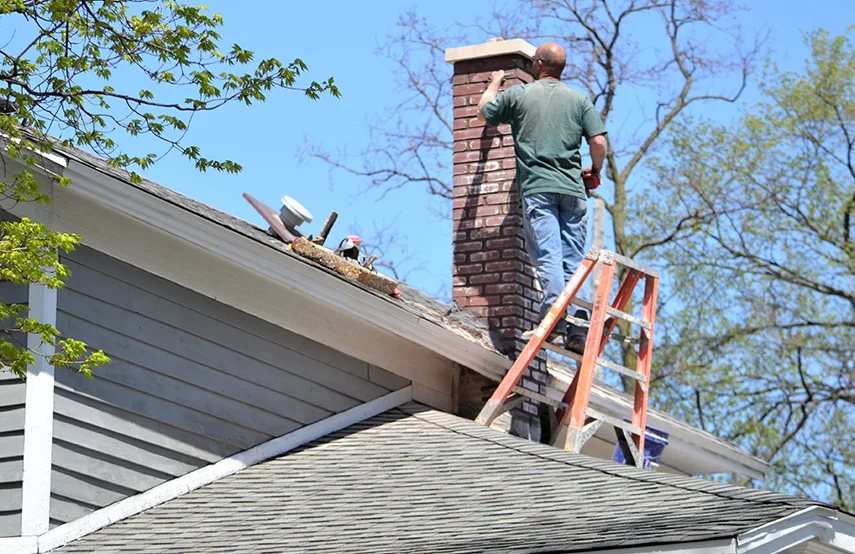 Chimney & Fireplace Inspections Services in Scaggsville, MD